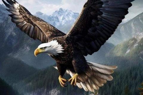 鹰击长空_群雏疾避：童年追逐中的攻防智趣与协作欢腾