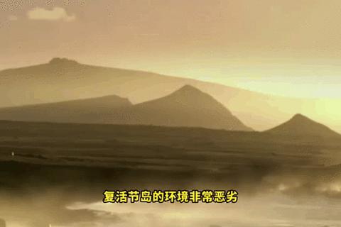谜岛密语：神秘岛未解之谜与时空裂隙的探索之旅