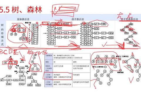 森林树屋逃生全流程指南：解密机关陷阱与实用路线规划技巧