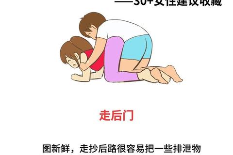 女王大人新手必看：零基础入门到快速精通技巧全解