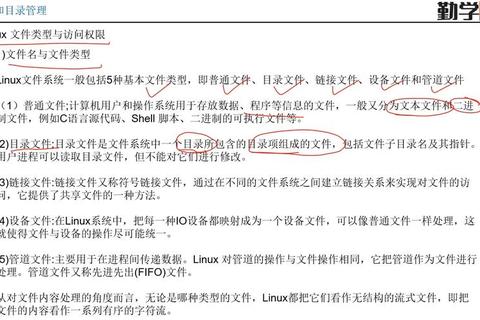 常用文件类型有哪些解决文件分类混乱与管理低效难题