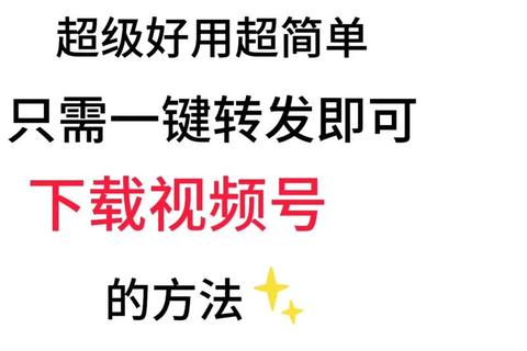 视频制作与下载全攻略：高效技巧_资源获取及实操步骤详解