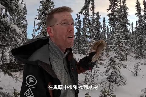 The Wild Eight 多人联机生存攻略：严寒阿拉斯加资源管理与团队协作高分技巧
