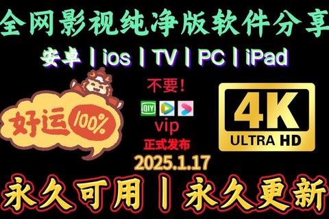 哪里看回放？全网资源整合一键直达轻松观看