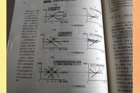 曼昆经济学原理下载指南：核心理论解析与资源获取