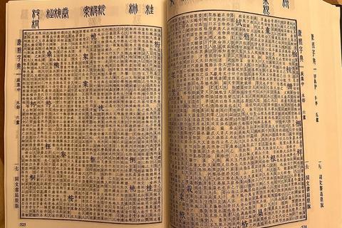 康熙字典免费下载指南_权威汉字工具书一键获取  第1张