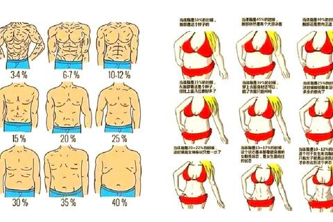 人有多少块腹肌由基因决定？三步减脂塑形法优化现有线条