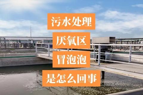为什么冒泡用不了常见故障解析与快速修复方案