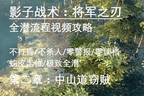 将军道攻略全解析从入门到精通掌握核心战术与实战技巧