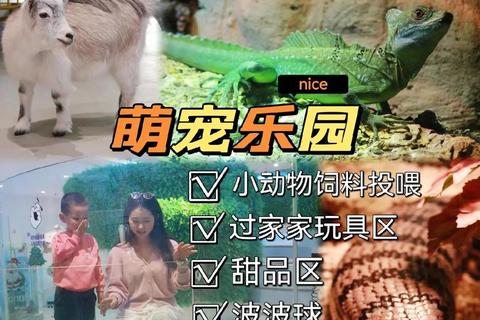 萌宠拼图总动员：益智挑战亲子互动趣味时光