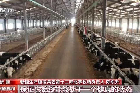 奶源争夺战：奶牛牧场经营与奶源产业链模拟挑战