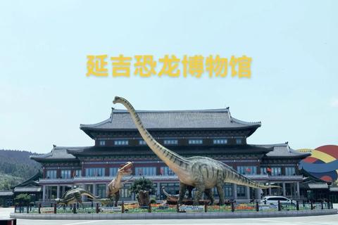 大庆恐龙博物馆在哪里精准位置解析与便捷出行指南助您快速到达