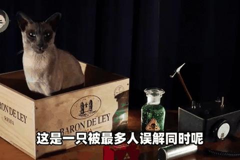 平衡挑战者:多维空间中的动态掌控艺术平衡之巅_重力法则与策略共生的极限试炼失衡边缘:物理法则下的动态掌控博弈恒稳之道:探索空间与策略的微妙平衡点指尖天平_多维空间动态平衡挑战实录 平衡挑战者:多维空间中的动态掌控艺术平衡之巅_重力法则与策略共生的极限试炼失衡边缘:物理法则下的动态掌控博弈恒稳之道:探索空间与策略的微妙平衡点指尖天平_多维空间动态平衡挑战实录