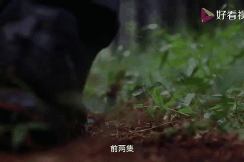 迷城寻踪：远古秘境与未知深渊的探险者征途
