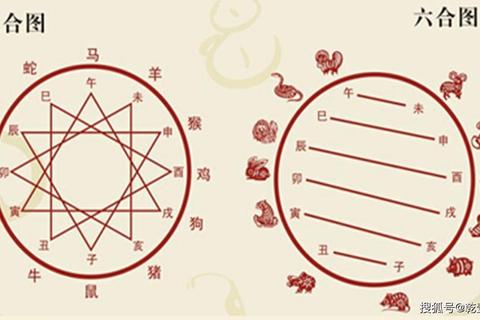 地指什么生肖易混淆？三招精准对应法助你快速辨清