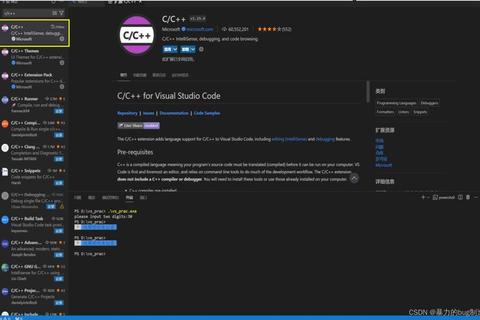 VSCode高效开发环境配置技巧与最佳实践分享