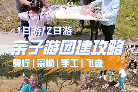 银龄乐活游戏宝典:50种益智趣味活动推荐与健康指南 银龄乐活游戏宝典:50种益智趣味活动推荐与健康指南
