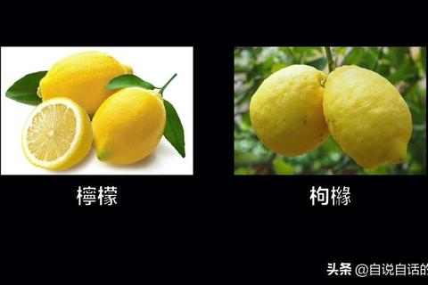 柠檬的英语怎么读？3个发音技巧告别错误发音困扰