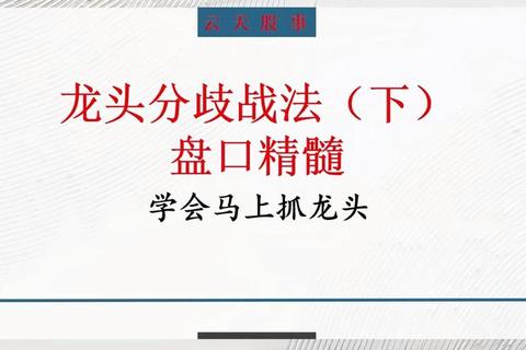 企业竞争困局如何破？揭秘什么龙可以横行霸道的市场制胜法则