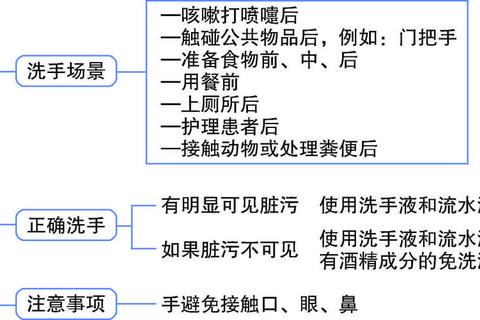 高传染性疫情扩散路径解析与防控策略实战指南  第1张