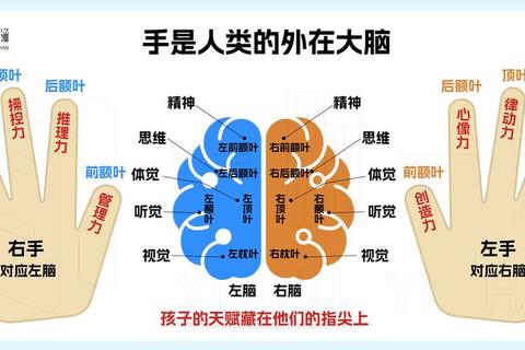 右脑潜能激发：创新游戏挑战你的思维极限