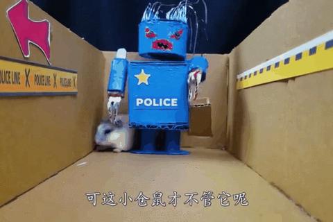 仓鼠逃跑游戏全关卡通关技巧与隐藏路线详细指南