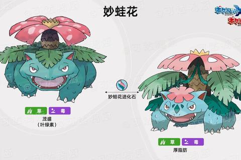 超进化精灵全图攻略全形态收集路线与终极技能搭配解析