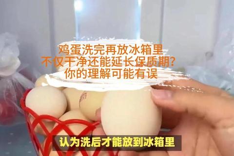 冰蛋能放多久存疑虑专家指导正确保存延长保鲜期
