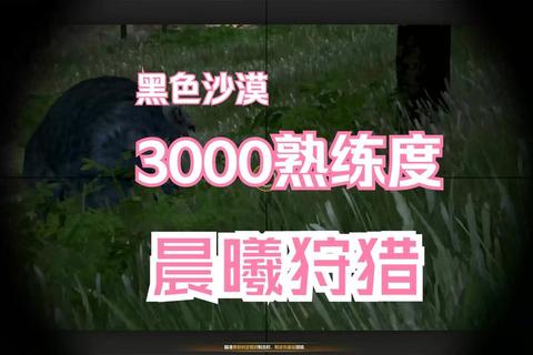 黑色沙漠手游2023最新赚钱攻略新手必看高效积累财富技巧解析