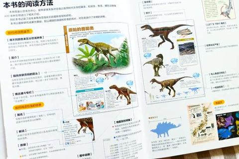恐龙下载指南：资源获取与安装教程一站式解析