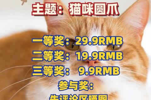 萌爪舞动时刻_解密猫咪游戏时的趣味行为与互动奥秘 萌爪舞动时刻_解密猫咪游戏时的趣味行为与互动奥秘