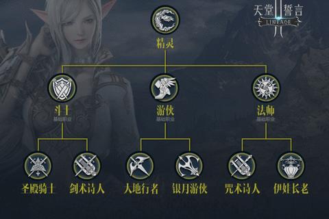 天堂2手游战士职业进阶全解析转职路线技能加点与装备搭配技巧