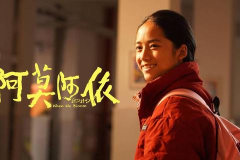一个人电影作品查不全？这份完整清单帮你一网打尽所有影片