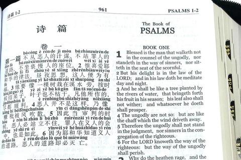 精读圣经免费下载指南中文电子书+注解资源一键获取