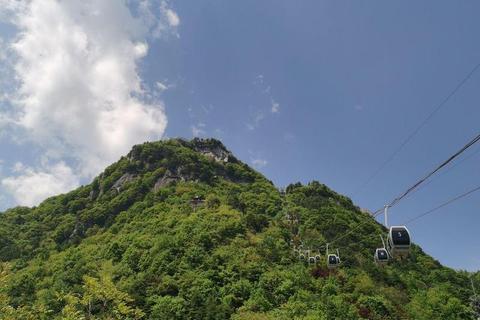 绿意人生：从种子到森林的模拟经营之旅  指尖育林计划——开启你的绿色星球开拓之路  树语者_生态星球建造与自然共生大冒险  播种希望之旅-轻松放置的森林王国建造日记  治愈系植树物语：培育你的奇幻森林生态圈