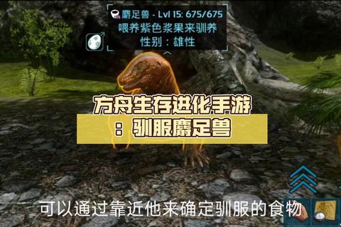 方舟手游生存进化零基础到高手终极生存技巧全解