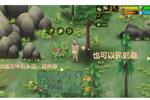 丛林大逃杀终极生存指南12招隐蔽偷袭与决胜法则