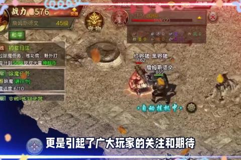 传奇多少种类全解析：解决选择难题与分类困惑一网打尽