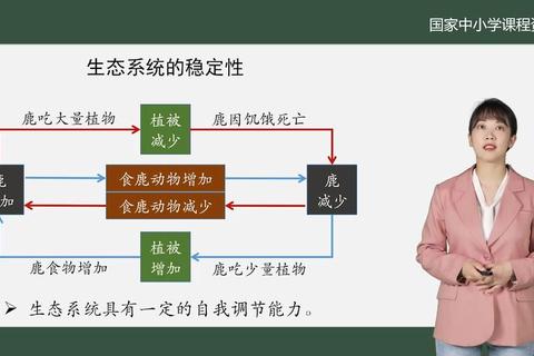 Equilinox生态平衡技巧：物种进化与高分环境构建秘籍