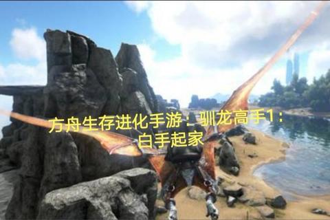 方舟生存进化手游零基础速成攻略：从驯龙到建造全阶段低死亡通关技巧