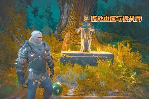 巫师3卓尔坦在哪里任务卡关难题快速定位技巧助你通关