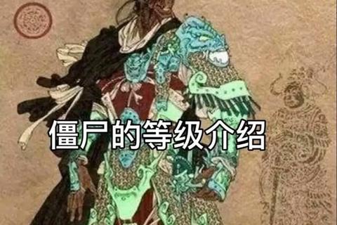 僵尸有哪些常见分类误区及科学解析指南