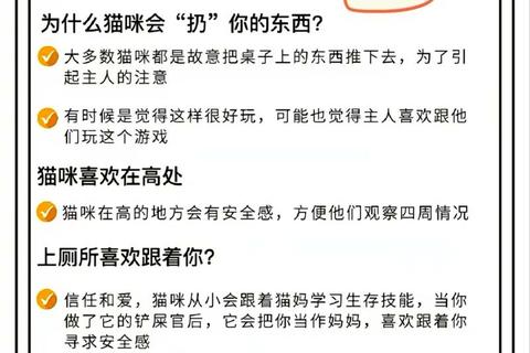 猫咪最爱游戏大揭秘:趣味互动与行为解析 猫咪最爱游戏大揭秘:趣味互动与行为解析