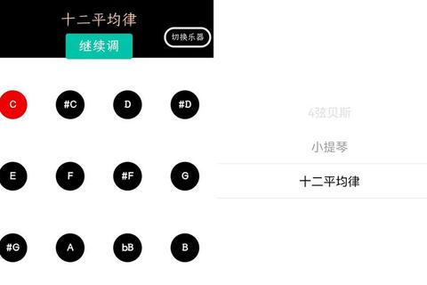 吉他调音器手机版下载_精准快捷调音工具一键安装指南