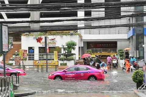 曼谷暴雨关键选项解析及双结局触发路线全攻略