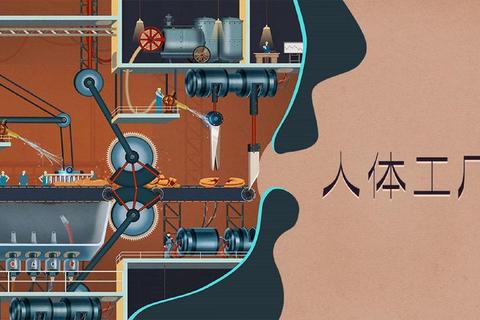 人体工厂全流程通关技巧解析与隐藏器官解锁秘籍指南