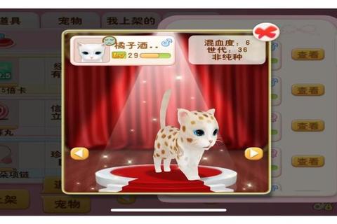 晴天小猫全阶段高效养成攻略：快速升级与隐藏任务技巧详解
