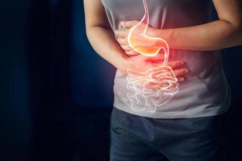 胃部位于左上腹不适频发？找准位置科学调养是关键