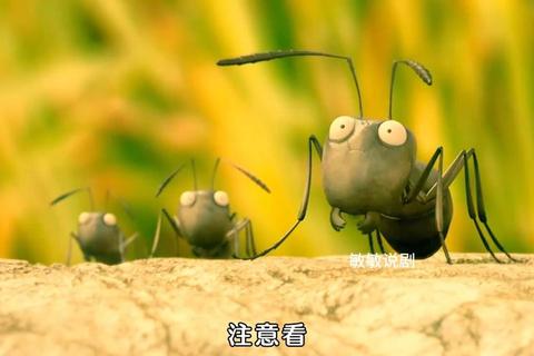 蚁群总动员：微小力量撼动世界大冒险