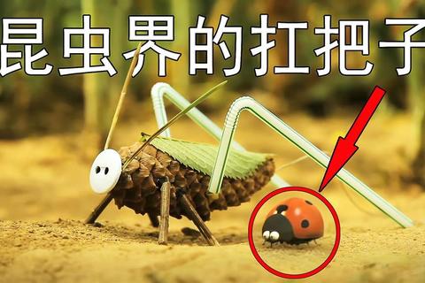 瓢虫奇趣冒险：益智闯关游戏_探索微观世界奥秘